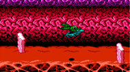 Battletoads NES Ingame