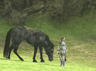 Shadow of the Colossus - Wanda&Agro