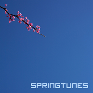 VA - Springtunes